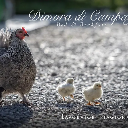 Dimora Di Campagna *